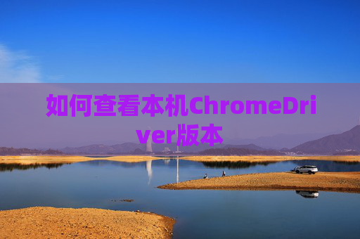 如何查看本机ChromeDriver版本